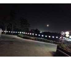 선인사 야경사진